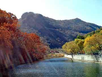 管家婆一肖一码100澳门，宿松火灾